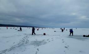 Полсотни рыбаков оказались на льдине среди вод Финского залива