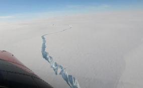 От ледника в Антарктиде откололся айсберг размером с Петербург 