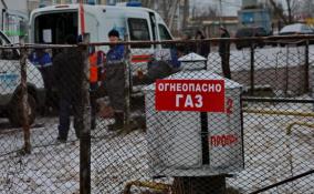 Газопровод до поселка Ушаки в Тосненском районе построят к концу 2021 года