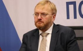 Депутат Виталий Милонов предложил привлекать к ответственности донатеров трэш-стримов