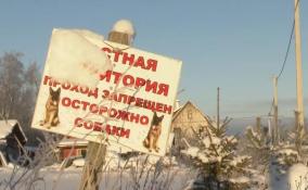 Жители деревни Капорское обвинили соседа в незаконном захвате участка земли