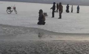 Рыбаки, которые уплыли на льдине около Шепелево, спасены 
