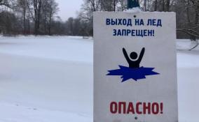 Лыжникам, гуляющим по каналам Петербурга, грозят штрафы до 5 тысяч рублей