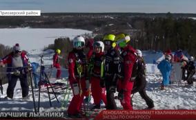 В Приозерском районе начались квалификационные заезды Первенства России по Ски-кроссу среди юниоров