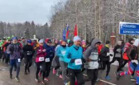 Зимний марафон стартовал во Всеволожском районе