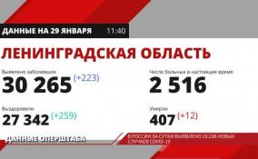 В России за сутки выявлено 19.238 новых случаев Covid-19