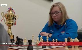 Уроженка Ленобласти Елизавета Соложенкина скоро получит высшее шахматное звание