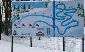 На лыжной базе "Двугорье" в Волхове планируют сделать круглогодичную лыжероллерную трассу