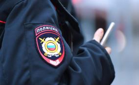 Женщину, сбившую в Тосно двух девочек-подростков, отправили под домашний арест