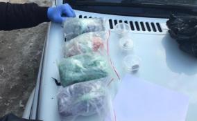 Полицейские изъяли 1,5 кг «экстази» у закладчиков под Всеволожском