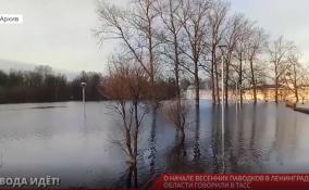 Вода идёт: в ТАСС поговорили о начале весенних паводков в Ленобласти