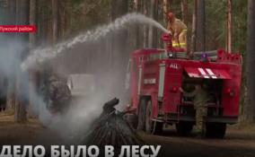 В Лужском районе спасатели отрабатывают технику тушения лесных пожаров