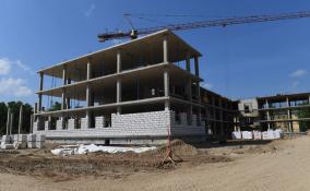 Будущие стройки в Заневке ограничили 12 этажами
