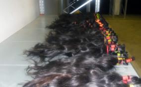 На Выборгской таможне изъяли почти 9 кг натуральных волос, ввозимых с нарушением правил