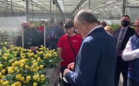 Губернатор Ленинградской области осмотрел цветочный комплекс «Новая Голландия» в Сясьстрое