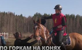 Во Всеволожском районе прошёл
Чемпионат Ленинградской области по конному спорту