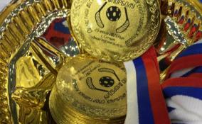 В Ленобласти завершился сезон региональной "Лиги школьного спорта"