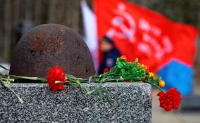 В Ленобласти военные благоустроили более 100 захоронений времен Великой Отечественной войны
