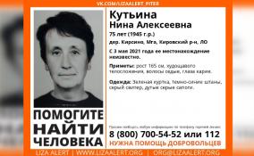 В Кировском районе пропала 75-летняя Нина Кутьина