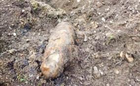 В Невском районе обнаружили боеприпасы времён Великой Отечественной войны