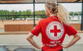Красный Крест объявил сбор средств на помощь пострадавшим от стрельбы в Казани