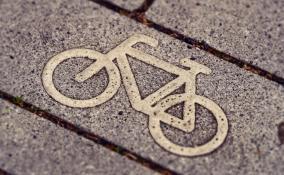 В западном Мурино планируют сделать велодорожки