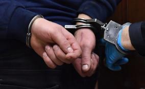 Полицейские задержали подозреваемого в убийстве в Ломоносовском районе
