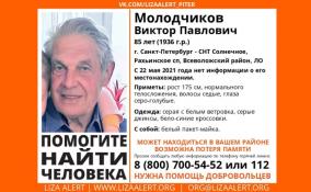 Во Всеволожском районе Ленобласти и Петербурге ищут 85-летнего пенсионера