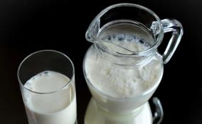 Компания из Волосовского района вложит миллиард в развитие комплекса по переработке молока