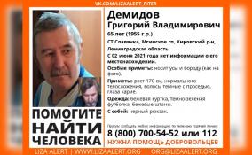 В Кировском районе второй день ищут 65-летнего Григория Демидова
