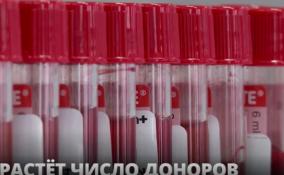 Количество доноров в Ленобласти и в
Петербурге увеличилось
