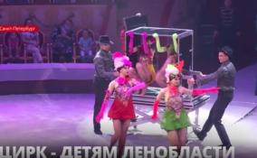 В Цирке на Фонтанке специально для детей-сирот из
Ленобласти дали необычное представление