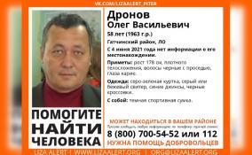 В Гатчинском районе пропал 58-летний Олег Дронов