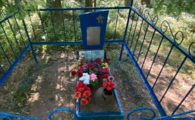 В Ленинградской области привели в порядок могилу 18-летнего лётчика, погибшего в Великую Отечественную войну