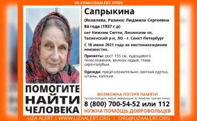 В Тосненском районе разыскивают 84-летнюю пенсионерку