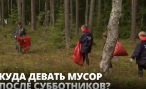 Региональный оператор проработает вопрос сбора и транспортировки мусора, который собрали ленинградцы на субботниках