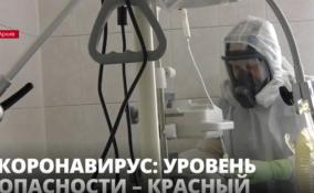 В России почти на 30% возросла заболеваемость коронавирусом