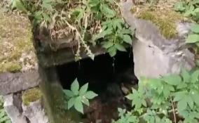 Эксперты рассказали, как проходит реставрация старинных надгробий