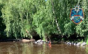 В реке Вьюн Приозерского района утонул мужчина