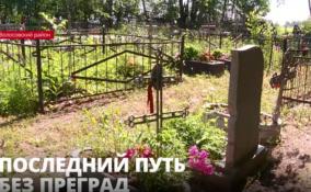 В деревне Коростовицы Волосовского района разыгрался конфликт из-за местного кладбища