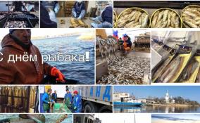 В Правительстве Ленинградской области рассказали об успехах рыбной отрасли в регионе