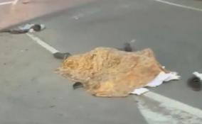 В Гатчинском районе байкер погиб после столкновения с авто