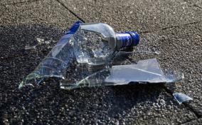 В Пикалёво парень похитил бутылку водки и разбил витрину магазина