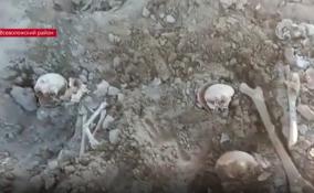 Под Колтушами на участке под строительство
коттеджей обнаружили останки женщин и детей времен Великой
Отечественной войны