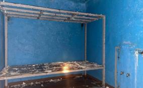 Во Всеволожском районе обнаружили частную подземную тюрьму с крематорием