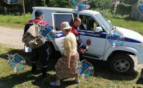 За минувшую неделю в Ленобласти погибли 13 человек, которым не успела помочь аварийно-спасательная служба