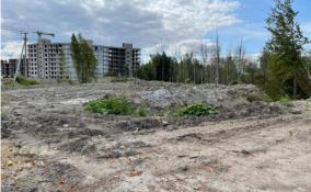 Во Всеволожском районе обнаружили незаконную свалку строительных отходов