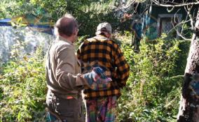 В Приозерском районе спасатели вывели из леса заблудившегося пенсионера