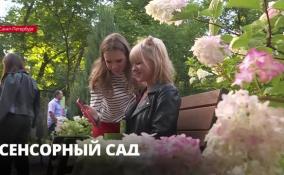 В Ботаническом саду Петербурга после реконструкции открыли специальное пространство - Сенсорный сад