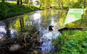 В Гатчине начинается второй этап расчистки парковых водоемов